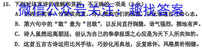 2024年春季鄂东南省级示范高中教育教学改革联盟学校期中联考（高一）语文