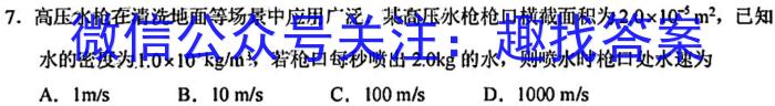 湖南省2024年名校初中模拟检测考试试卷（一）h物理