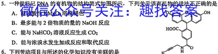 陕西省西安市某校2024-2025学年上学期小升初（新初一）分班考试化学