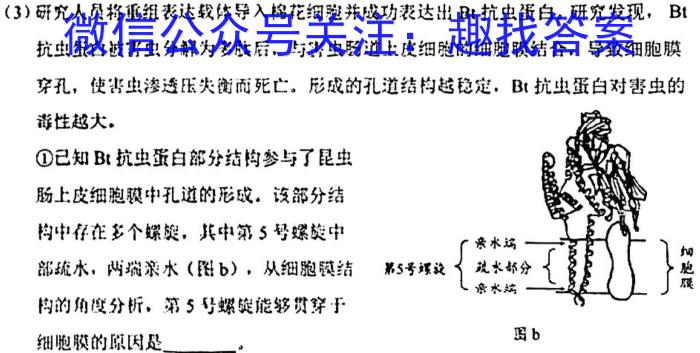 安徽省寿春中学2024年春学期七年级第四次(期末)学科检测生物学试题答案