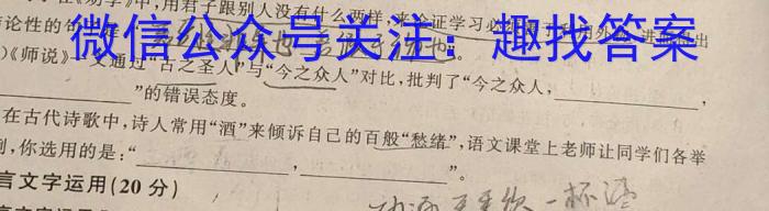 河南省2024-2025年度高一年级入学调研考试语文