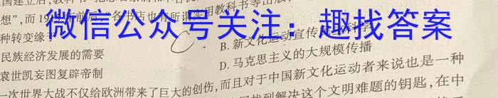 2024普通高等学校招生全国统一考试·名师原创调研仿真模拟卷(四)4历史试卷答案