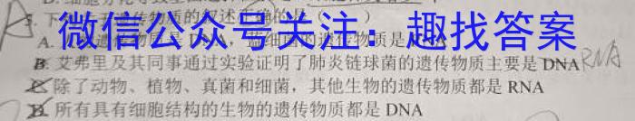 湖北省2024年春季黄冈市高中联校高二年级期中教学质量抽测数学