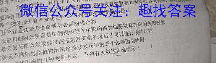 2024年安徽省初中学业水平考试模拟（二）试题卷数学