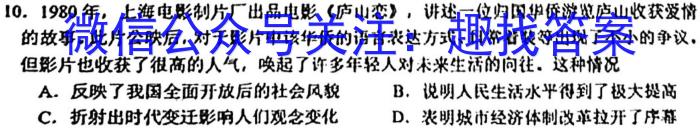 山西省2024年中考总复习专题训练 SHX(十)10历史试卷答案