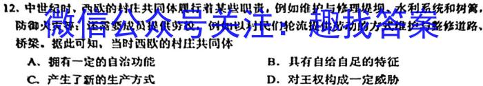 安徽省2024年中考总复习专题训练 R-AH(九)9历史试卷答案