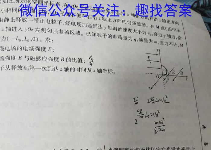 2024年文博志鸿河南名校联考圈题卷物理试题答案