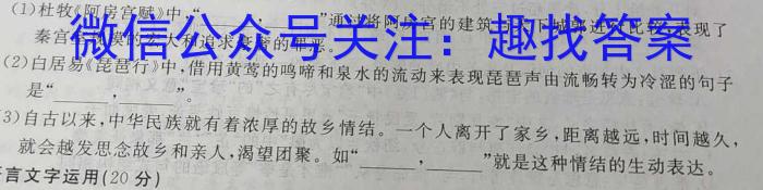 安徽省2023-2024学年度七年级第二学期阶段练习（期中）语文