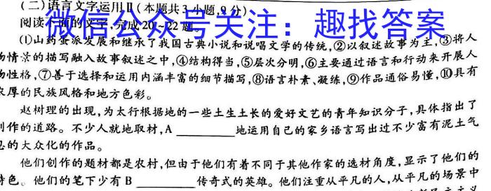 陕西省2024年中考总复习专题训练 SX(二)语文