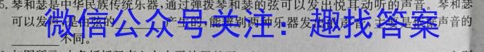 鼎成原创模考 2024年河南省普通高中招生考试 考前必杀卷物理试题答案