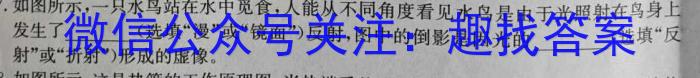 2024年安徽中考信息交流试卷(三)物理`