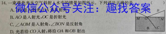 重庆市鲁能巴蜀中学2024年九年级下学期第一次月考物理试卷答案