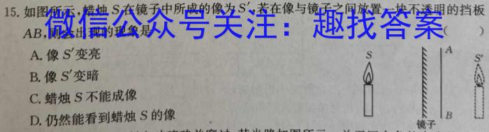 湖南省2024届高三一起考大联考(模拟四)物理`