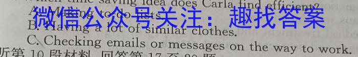 2024年河南省普通高中招生考试模拟试卷(冲刺二)英语