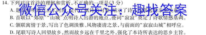 河北省2024年初中毕业班教学质量检测（二）/语文