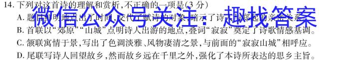 山东省长清区2024年下学期九年级阶段检测/语文