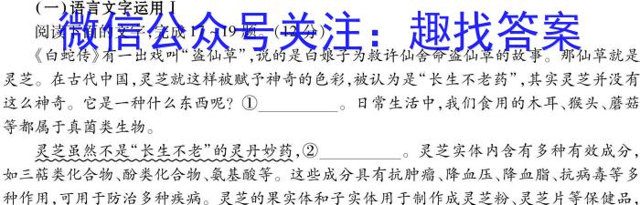 陕西省丹凤县2023~2024学年度九年级第一学期教学质量调研测试语文