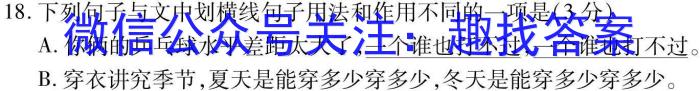 江西省2023-2024学年度第一学期期末测试卷（初三）/语文