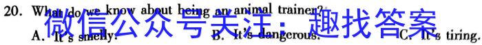 ʡ20243(ֱ)Ӣx
