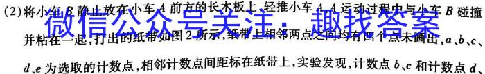 河北省邯郸市2023-2024学年第一学期九年级期末质量监测物理试卷答案