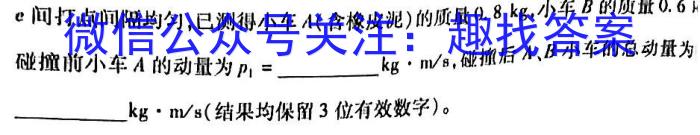 陕西省2023-2024高一模拟测试卷(△)物理`