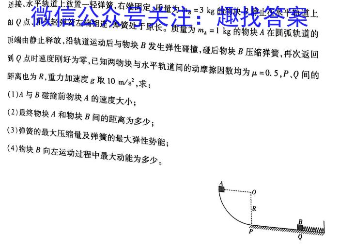 山东省2024年普通高中学业水平等级测评试题(四)物理试卷答案