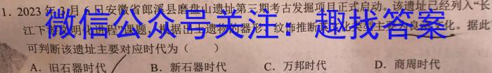 河南省2023-2024学年高二年级阶段性测试（期末考试）历史试卷答案