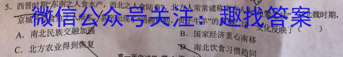 陕西省2024届九年级期末考试（模拟卷）历史试卷答案