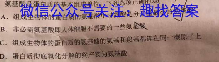 百师联盟·2024届高三一轮复习联考(五)新教材数学