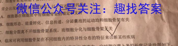 吉林省长春市第二实验中学2024-2025学年度上学期初三优效作业（一）开学考试数学