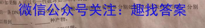 甘肃省陇南市礼县2023-2024学年九年级质量监测试卷（4.15）英语