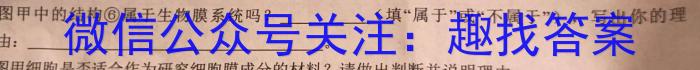 2024年湘黔教考联盟高一第一次检测（4月）数学h