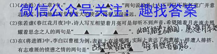 安徽省2023-2024学年同步达标自主练习·七年级第七次语文