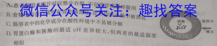 点石联考·2023-2024学年度下学期高二年级6月阶段考试生物学试题答案