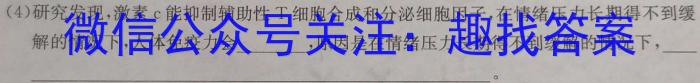 安徽省2023~2024学年度七年级第一学期期末学习质量检测试题卷数学