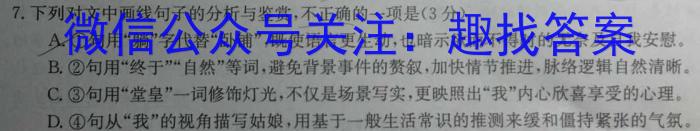 江西省上饶市广丰区2024届九年级上学期1月期末考试语文