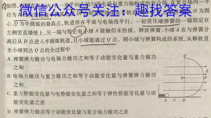 厚德诚品 湖南省2024年高考冲刺试卷(四)4(物理)