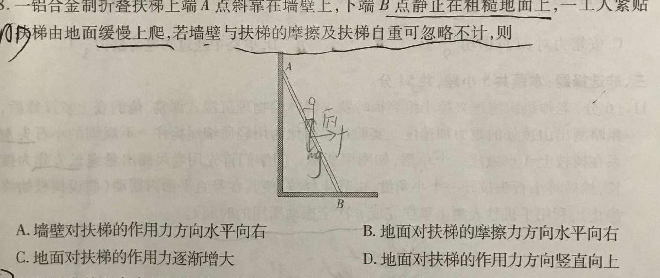 湖北省武汉市江岸区2023-2024学年度第二学期期末质量检测（高一）(物理)试卷答案