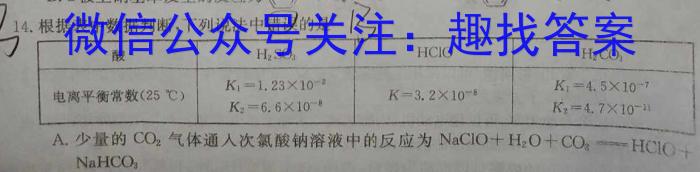 湘豫名校联考 2023-2024学年高一(上)1月阶段性考试数学