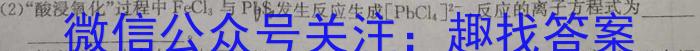 甘肃省2023-2024学年度高二1月阶段检测数学