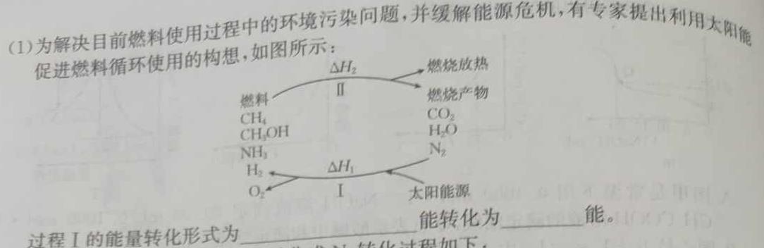 6陕西省2024年凤翔区初中学业水平第一次模考卷化学