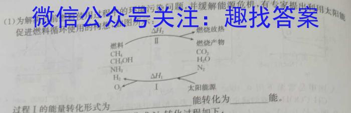 陕西省2023-2024高一模拟测试卷(△)化学