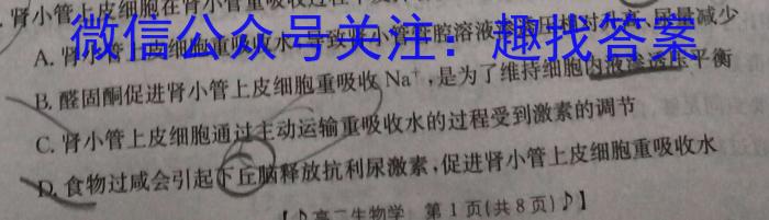 [阳光启学]2024届全国统一考试标准模拟信息卷(十一)11生物学试题答案