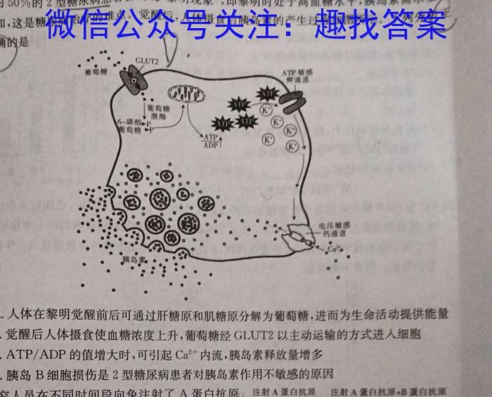 河南省2023-2024学年第二学期八年级学情监测生物学试题答案