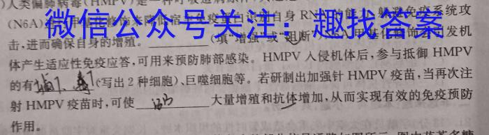 2024年浙江省"山海联盟"初中学业水平考试数学