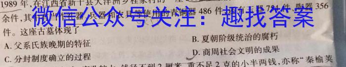 山东名校考试联盟 2023-2024学年高一下学期期中检测(2024.05)历史试卷