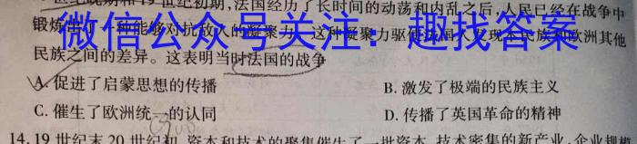 安徽省2023-2024学年度八年级阶段诊断[PGZX F-AH(四)]历史试卷答案