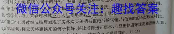 河北省唐山市丰润区2023-2024学年度第一学期七年级期末质量监测/语文