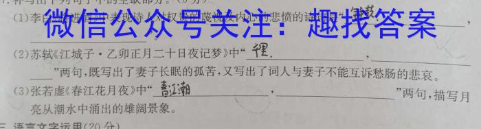 江西省2024年初中学业水平考试原创仿真押题试题卷三/语文