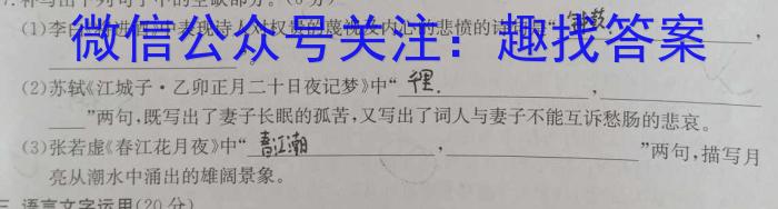 安徽省2024年初中毕业学业考试模拟试卷（5月）语文